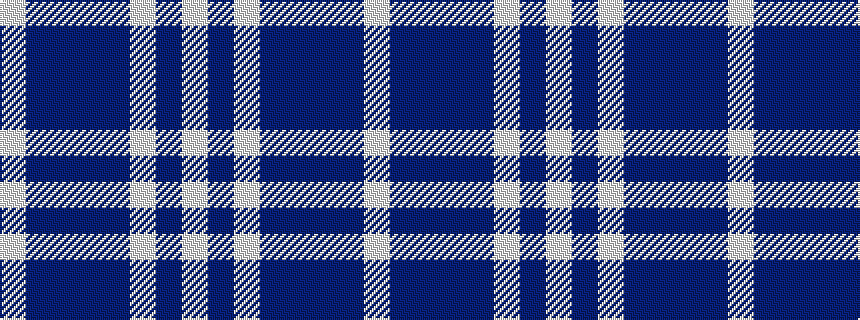 idealised woven sample of pattern WBBBBWBW