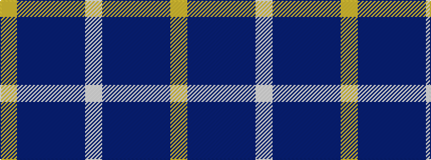 idealised woven sample of pattern WBBBBY