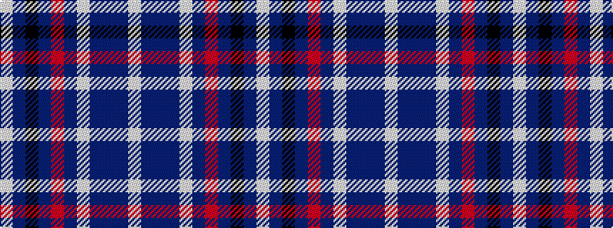 idealised woven sample of pattern WBBBWBRBKBW