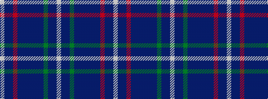 idealised woven sample of pattern WBBGBBBBBBRBBW