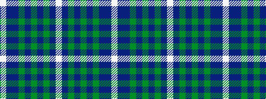 idealised woven sample of pattern WBBGBGBGBW