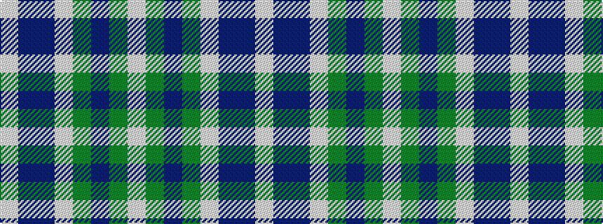 idealised woven sample of pattern WBBWGBGW
