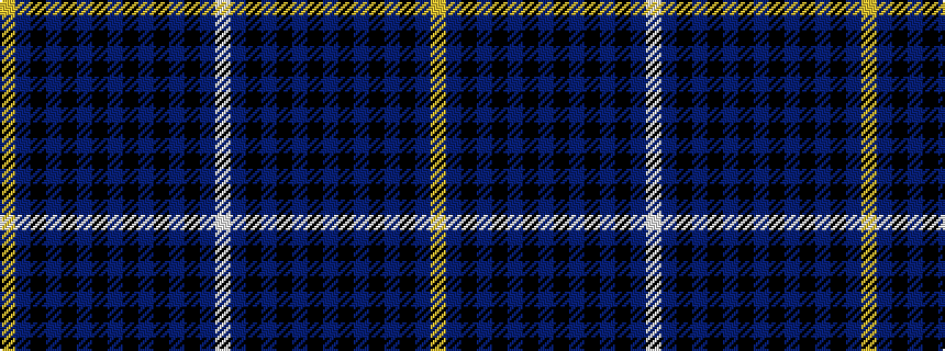 idealised woven sample of pattern WBKBKBKBKBKBKBY
