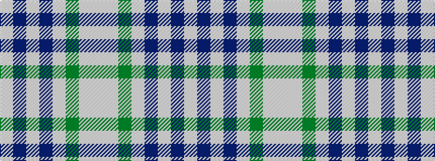 idealised woven sample of pattern WBWBWGWW