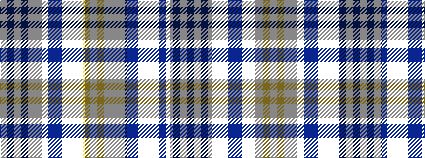 idealised woven sample of pattern WBWBWWWBBWWWYW