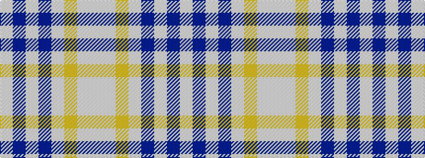 idealised woven sample of pattern WBWBWYWW