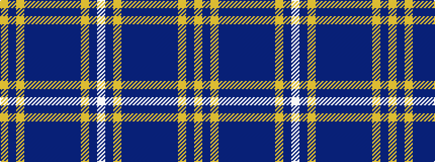 idealised woven sample of pattern WBYBBBBBBBYBY