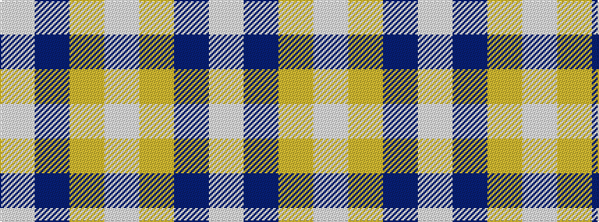 idealised woven sample of pattern WBYW