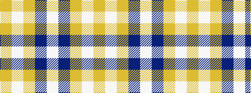 idealised woven sample of pattern WBYWY