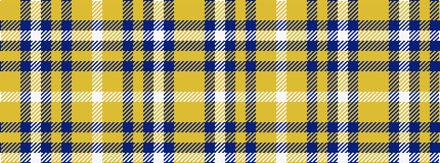 idealised woven sample of pattern WYYBYBWBYY
