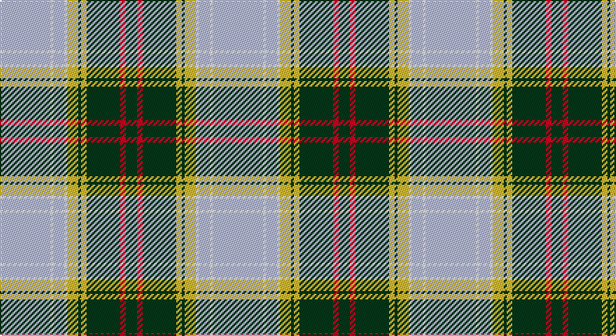 LB/36 W2 LB8 W2 LY8 DG2 LY4 DG24 R4 DG/8 tartan