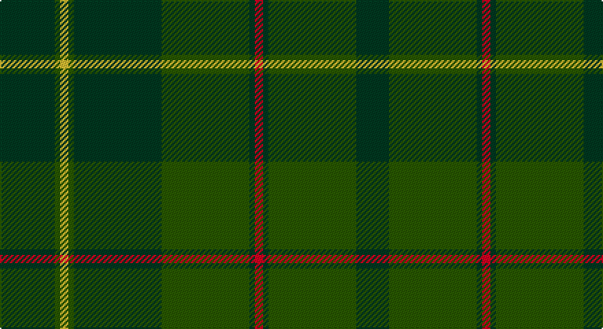 DG/40 DGi4 LY6 DGi4 DG64 DGi64 DG4 R6 DG4 DGi64 DG/24 tartan