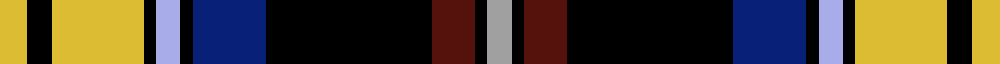 Dublin County Crest (Fashion)