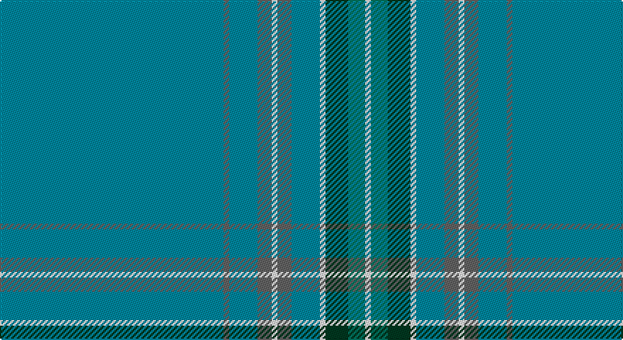 T/158 N4 T20 N10 W4 N10 T20 W4 DG16 G12 W/4 tartan