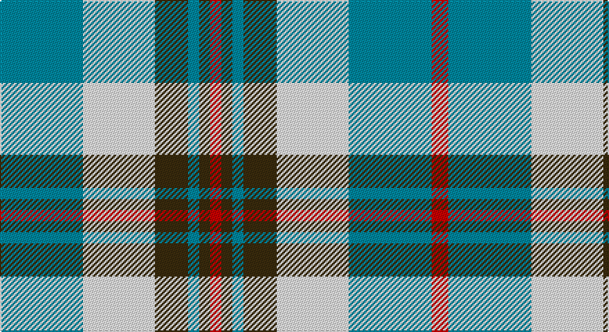 T/60 W52 DY24 T8 DY8 R8 DY8 T8 DY24 W52 T60 R/12 tartan