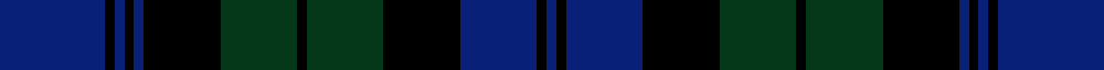 Black Watch Regimental