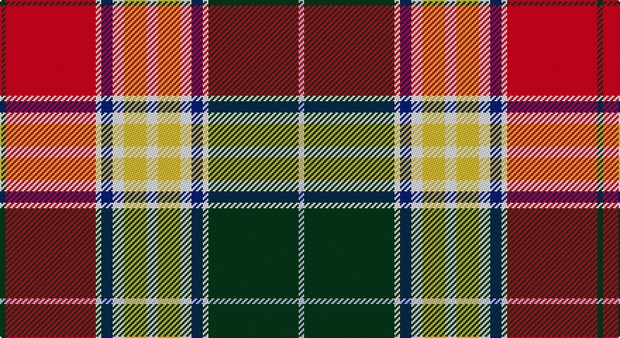 DG/4 R64 W4 DB8 W8 LY16 W8 LY16 W8 DB8 W4 DG64 LB/4 tartan