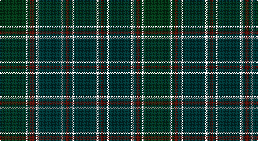 DG/44 W4 DG4 DR6 DT4 W4 DT38 W4 DT4 DR6 DT4 W4 DT/38 tartan