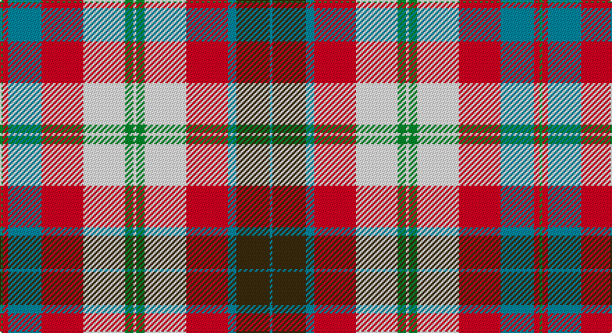 G/2 R4 T24 R30 W30 G6 W2 G6 W30 R30 T6 DY24 T/2 tartan