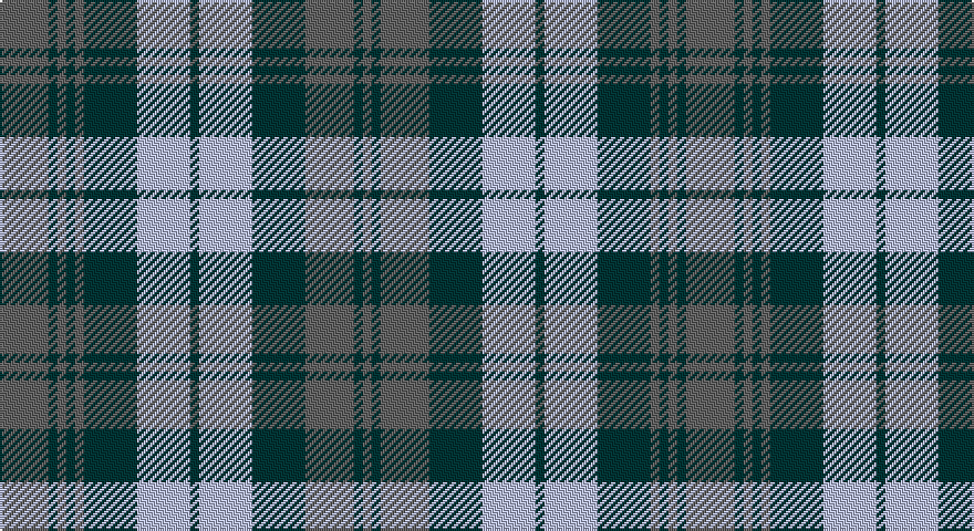 N/22 DT4 N4 DT4 N4 DT24 LB24 DT4 LB24 DT24 N22 DT4 N/4 tartan