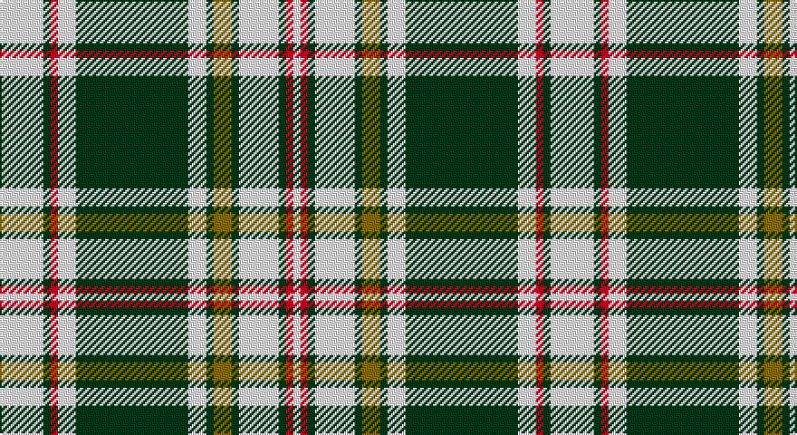 W/24 DG4 R4 W10 DG62 W10 DG4 Y10 DG4 W22 DG4 R4 W/4 tartan