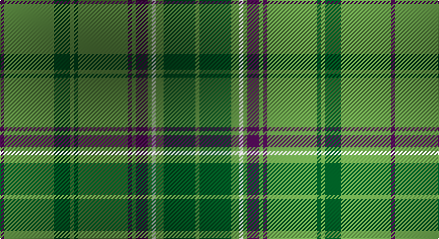 DP/4 Y50 DG16 Y4 DG4 Y50 DP4 Y4 DP12 Y4 W4 Y8 DG32 Y/4 tartan