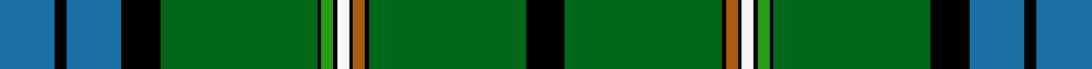Irish Diaspora