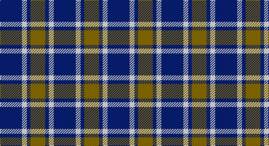 DB/36 W8 DB6 Y/24 tartan