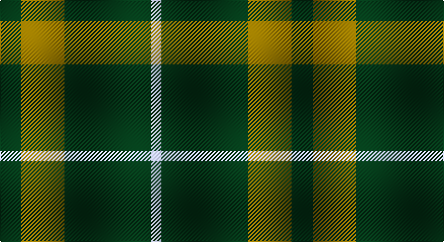 DG/21 Y43 DG86 LB/10 tartan