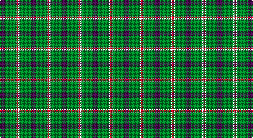 DP/8 G20 W2 R/2 tartan