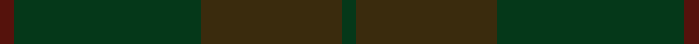 Sanix Muted