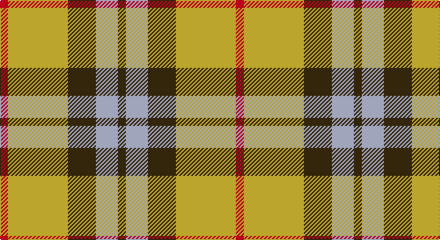 R/8 LY60 DY28 LB22 DY/8 tartan