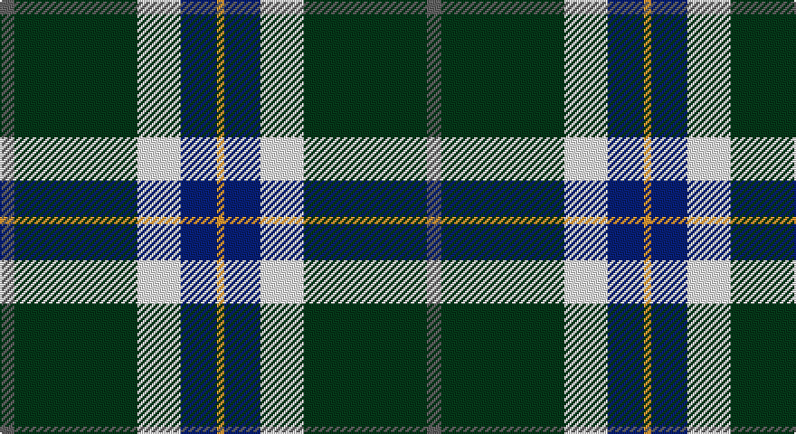 N/8 DG68 W24 DB20 LO/4 tartan