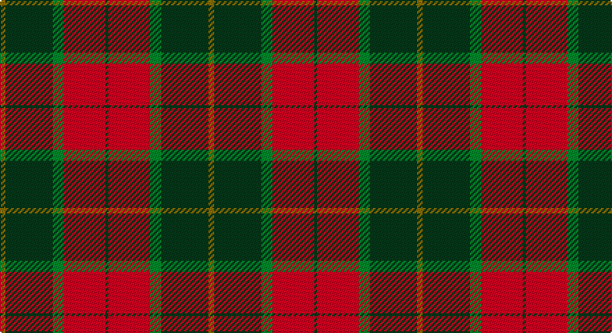 Y/4 DG34 G8 R30 DG/2 tartan