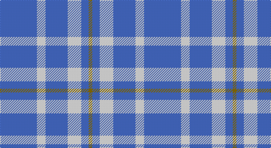 B/60 W14 B36 W22 B12 Y/6 tartan