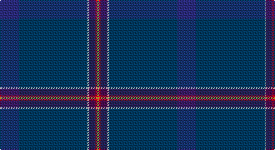 DBi/30 DB110 W2 DP10 R4 LY/2 tartan
