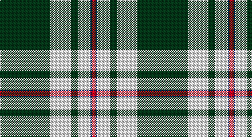 DG/88 W36 DG12 W22 DB2 R/8 tartan