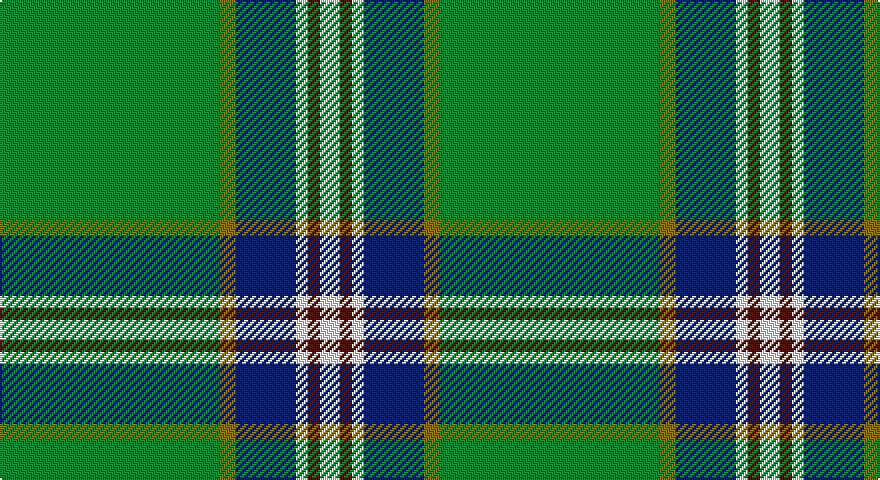 G/110 Y8 DB30 W6 DR6 W/10 tartan