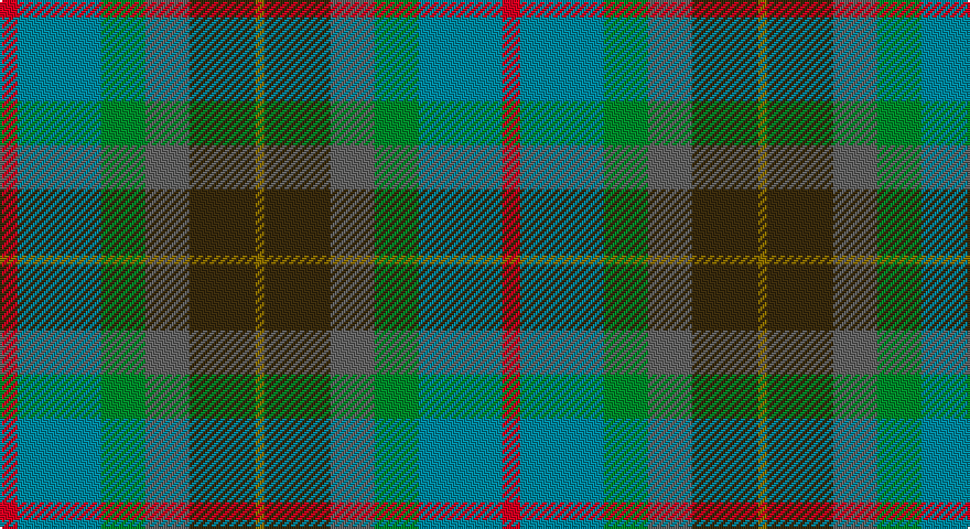 R/8 T38 G20 N20 DY30 Y/4 tartan