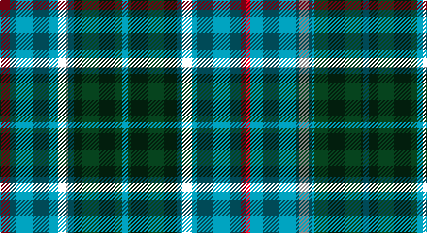 R/10 T50 W10 T6 DG50 T/6 tartan