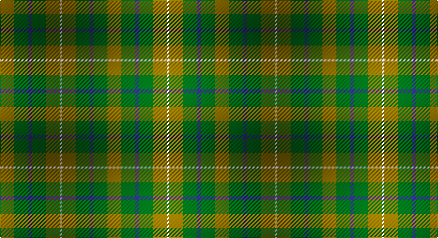 Y/14 DG14 DB4 DG14 Y14 W/2 tartan