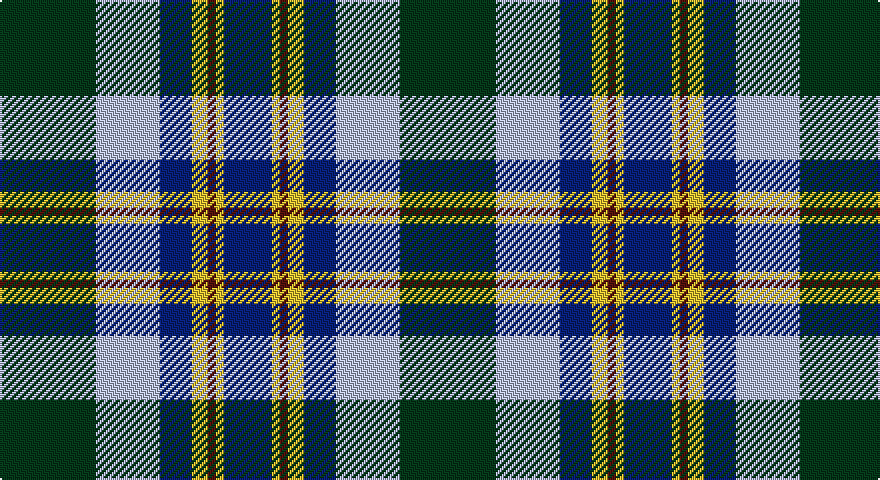 DG/48 LB32 DB16 LY8 DR4 LY4 DB/24 tartan