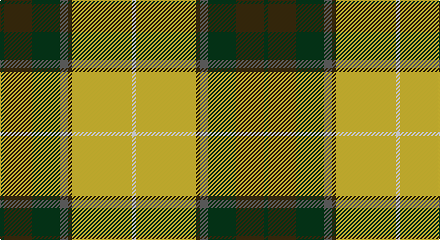 DG/4 DY28 DG28 N8 DY4 LY60 W/4 tartan
