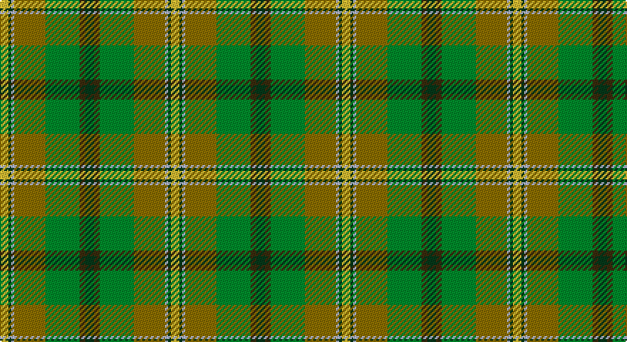 LY/6 DG2 LB2 Y22 G24 DY4 DG/6 tartan