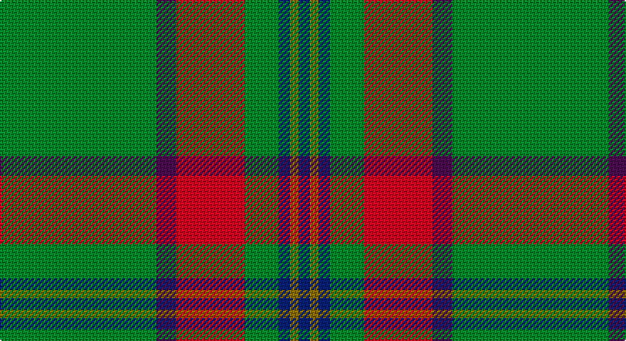G/110 DP14 R48 G24 DB8 Y6 DB/8 tartan
