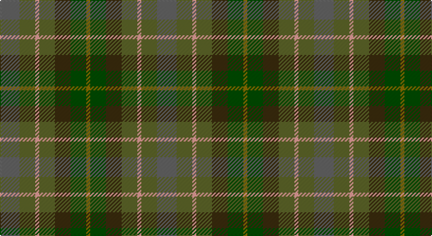 N/20 G16 LR4 G16 DY16 DG16 Y/4 tartan