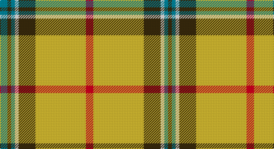 T/12 DY6 T6 W6 DY27 LY81 R12 LY81 DY27 W6 T6 DY/6 tartan