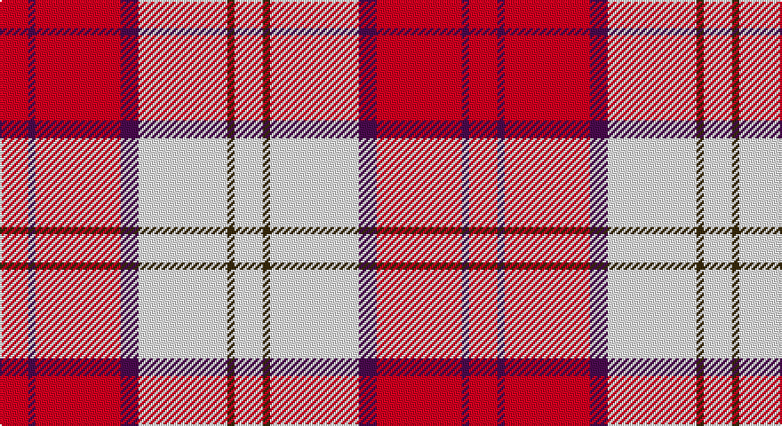 R/16 DP4 R48 DP10 W50 DY4 W/16 tartan