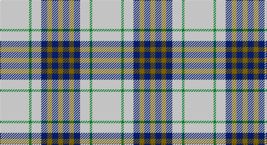 W/48 G4 W16 DB10 Y8 DB10 Y/8 tartan
