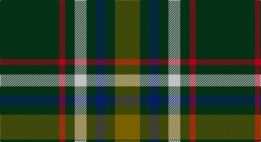 DG/100 R10 DG16 W20 DG16 DB16 DG16 Y/42 tartan
